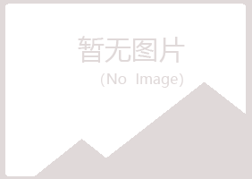 子洲县白山设计有限公司